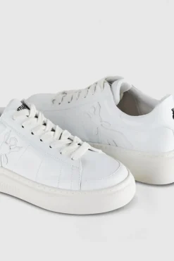 Sneakers Pepe Fly